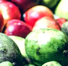 nutrition connect