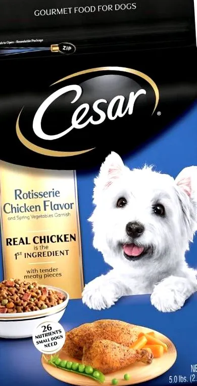 2020 cesar