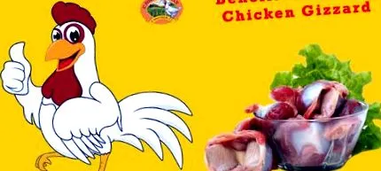 chick