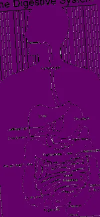 усвоява
