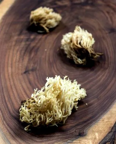коралови