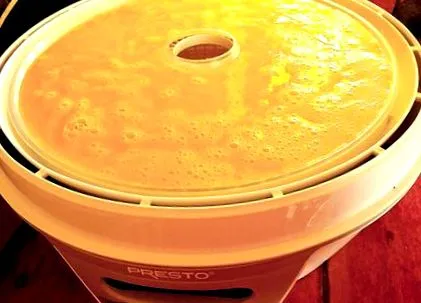 яйца