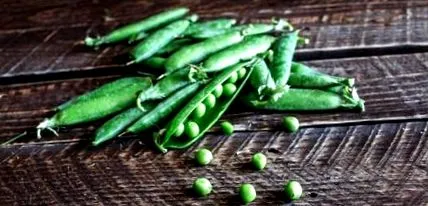 вкусни които