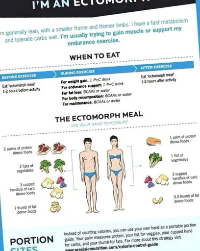 ectomorph