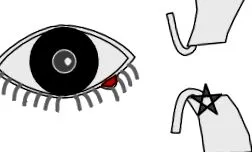 бучки