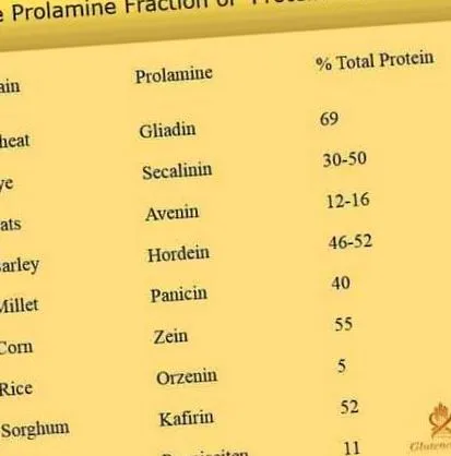 имитират