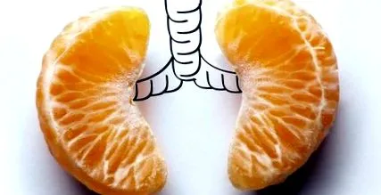 храни които