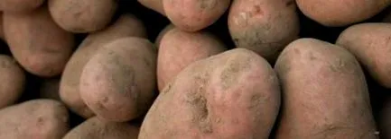 често често