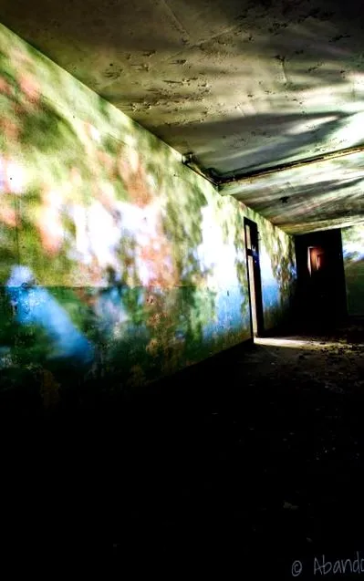 hazelwood