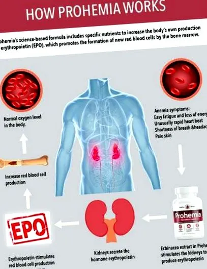 prohemia