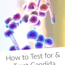 candida