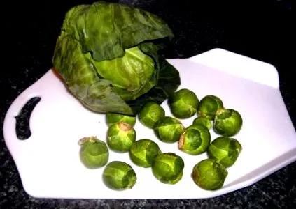броколи
