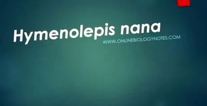 местообитание