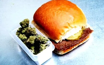 cannamd