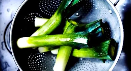 nutrition nutrition