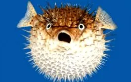 монолози