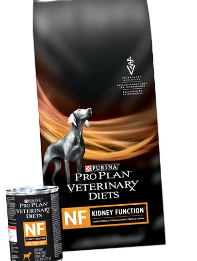 кучешка