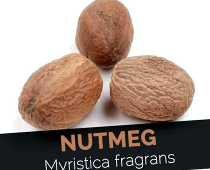 индийско