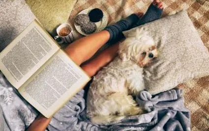 hygge