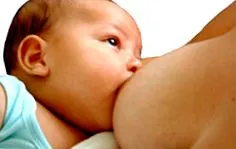 хранене хранене
