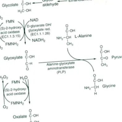 ScienceDirect теми