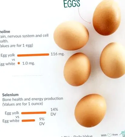foods