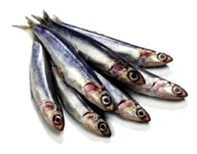 козе