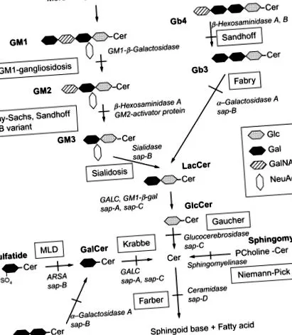ScienceDirect теми sciencedirect