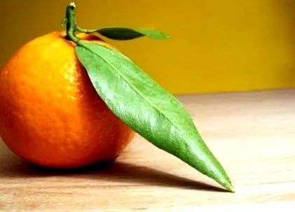 могат