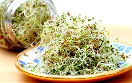 сурови