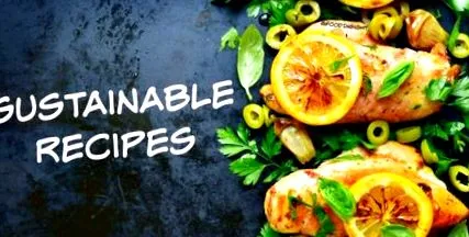 insight food