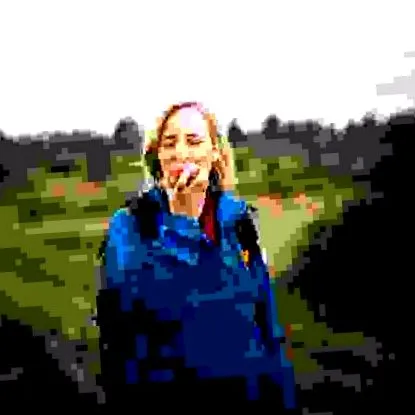 2019