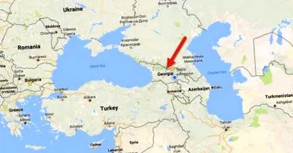 бели вина