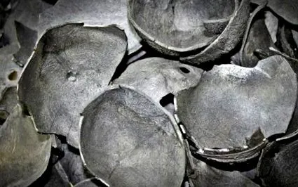 charcoal ползи