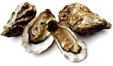 illness