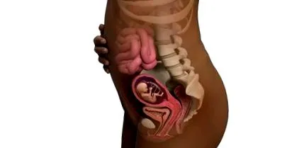 babycenter индия