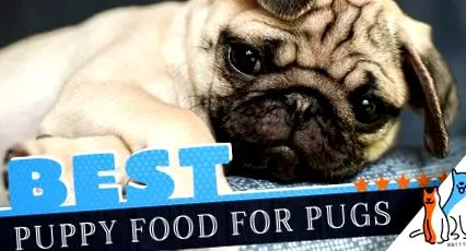 най-добри
