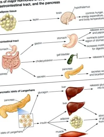 anumite alimente