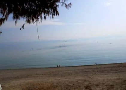 akrata