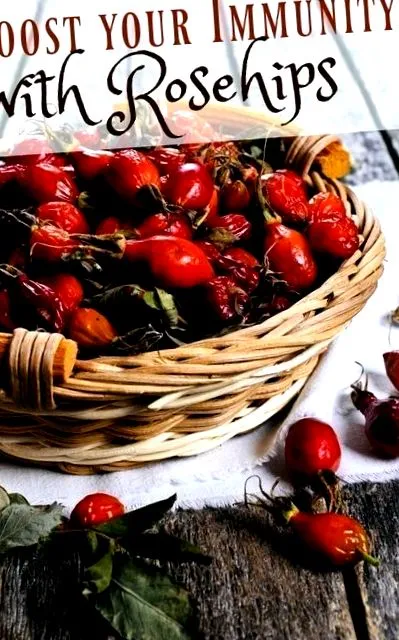 имунната система повишете