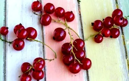 food vitality