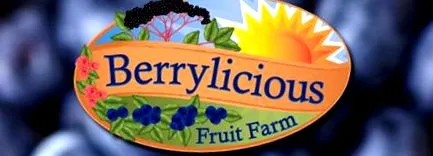 berrylicious