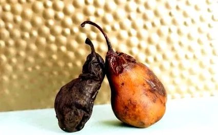 pere