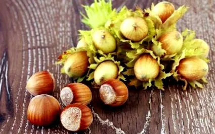 calorii