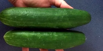 calorii carbohidrați