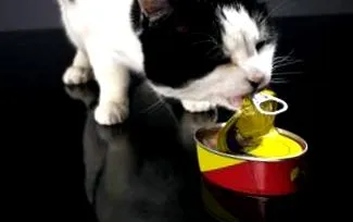urată