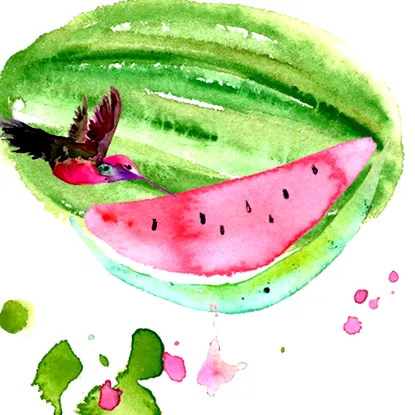 margarita