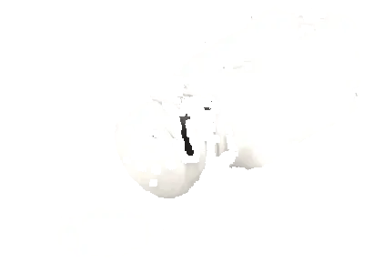 excesul