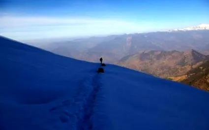 tipuri