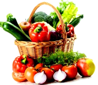 dieta